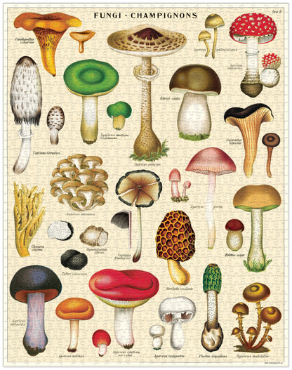 Cavallini – 1000 Pc Puzzle Mushrooms